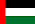 UAE Flag